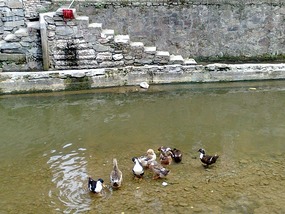 Zhaoxing Village Adventure