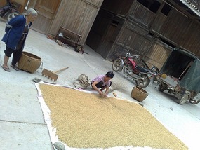 Zhaoxing Village Adventure