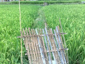 Zhaoxing Village Adventure
