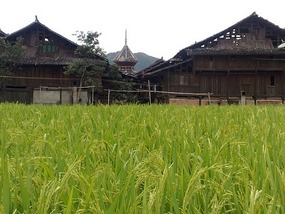Zhaoxing Village Adventure