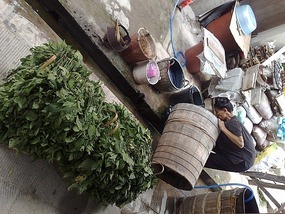 Zhaoxing Village Adventure