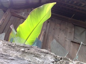 Zhaoxing Village Adventure