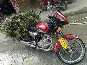 Zhaoxing Village Adventure