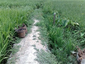 Zhaoxing Village Adventure