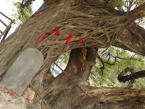 Sanjiang Town Adventure