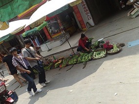 Sanjiang Town Adventure