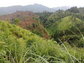 Sanjiang Town Adventure
