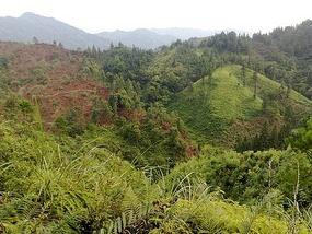 Sanjiang Town Adventure
