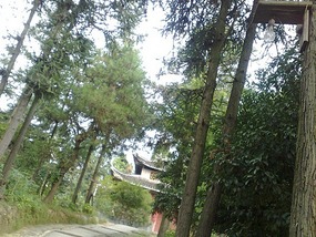 Sanjiang Town Adventure