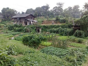 Sanjiang Town Adventure
