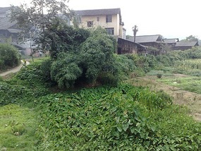 Sanjiang Town Adventure