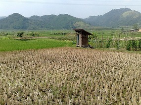 Sanjiang Town Adventure
