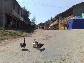 Shan Guan Village for Guo Jia Hong