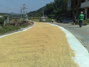 Shan Guan Village for Guo Jia Hong