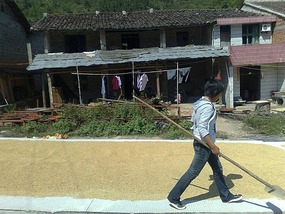 Shan Guan Village for Guo Jia Hong