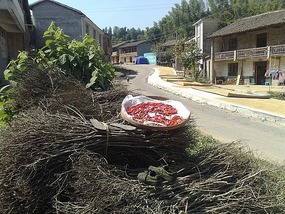 Shan Guan Village for Guo Jia Hong