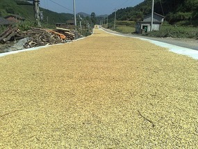 Shan Guan Village for Guo Jia Hong