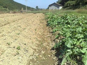 Shan Guan Village for Guo Jia Hong