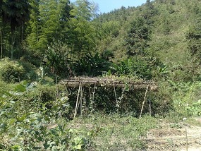 Shan Guan Village for Guo Jia Hong