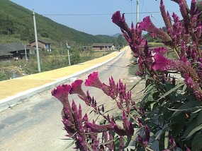 Shan Guan Village for Guo Jia Hong