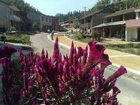 Shan Guan Village for Guo Jia Hong