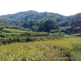 Shan Guan Village for Guo Jia Hong