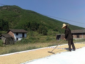 Shan Guan Village for Guo Jia Hong