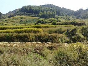 Shan Guan Village for Guo Jia Hong