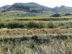 Shan Guan Village for Guo Jia Hong