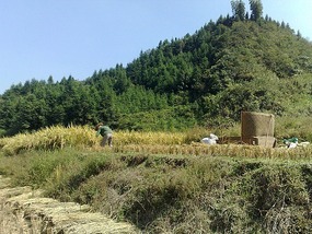 Shan Guan Village for Guo Jia Hong