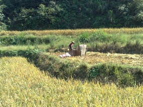 Shan Guan Village for Guo Jia Hong