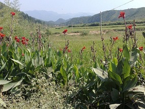 Shan Guan Village for Guo Jia Hong