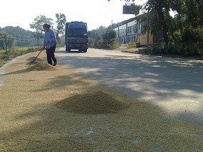 Shan Guan Village for Guo Jia Hong