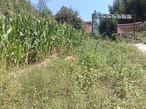 Shan Guan Village for Guo Jia Hong