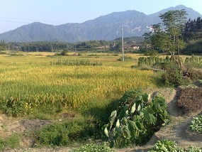 Shan Guan Village for Guo Jia Hong