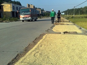 Shan Guan Village for Guo Jia Hong