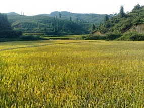 Shan Guan Village for Guo Jia Hong