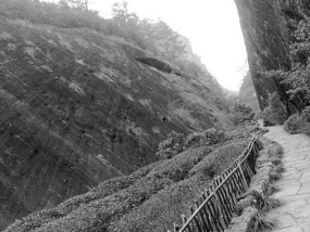 A Black N White Wuyishan Adventure