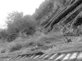 A Black N White Wuyishan Adventure
