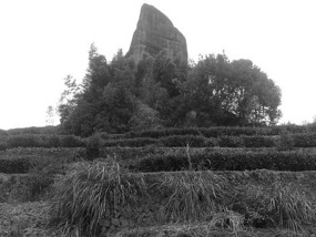 A Black N White Wuyishan Adventure