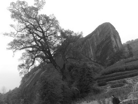 A Black N White Wuyishan Adventure