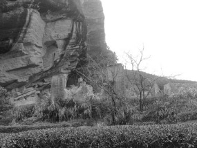 A Black N White Wuyishan Adventure