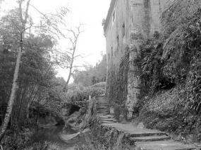 A Black N White Wuyishan Adventure