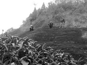 A Black N White Wuyishan Adventure