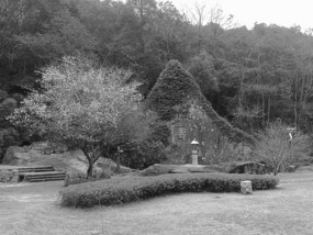 A Black N White Wuyishan Adventure