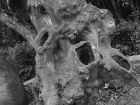 A Black N White Wuyishan Adventure