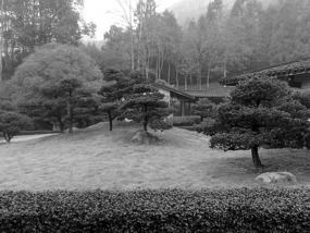 A Black N White Wuyishan Adventure