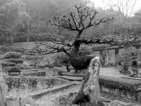 A Black N White Wuyishan Adventure