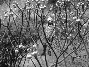 A Black N White Wuyishan Adventure