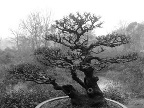 A Black N White Wuyishan Adventure